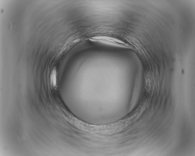 X0000086940046200705071429