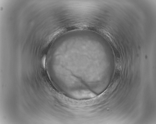 X0000086940047200705071429