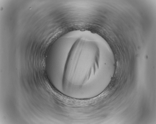 X0000086940048200705071429