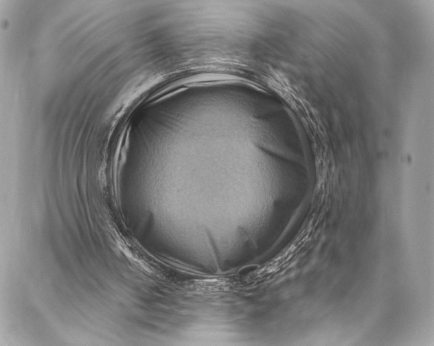 X0000086940050200705071428