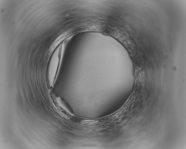 X0000086940051200705071428