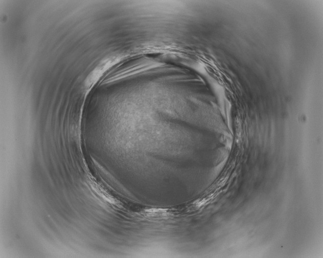 X0000086940052200705071428