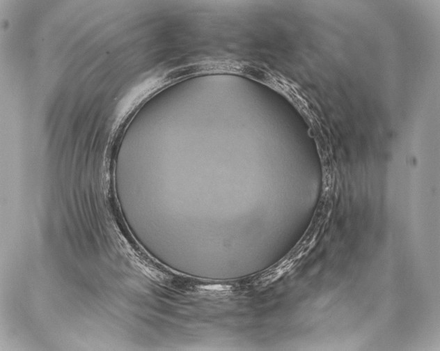 X0000086940053200705071428