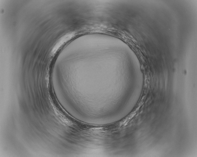 X0000086940054200705071428