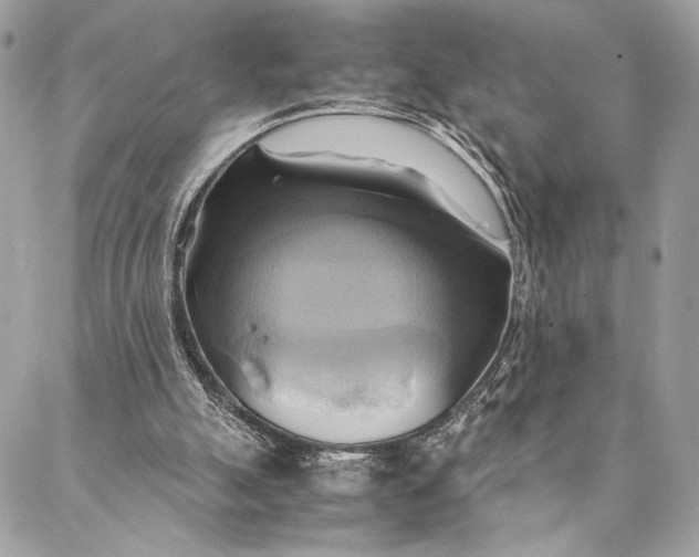 X0000086940055200705071428