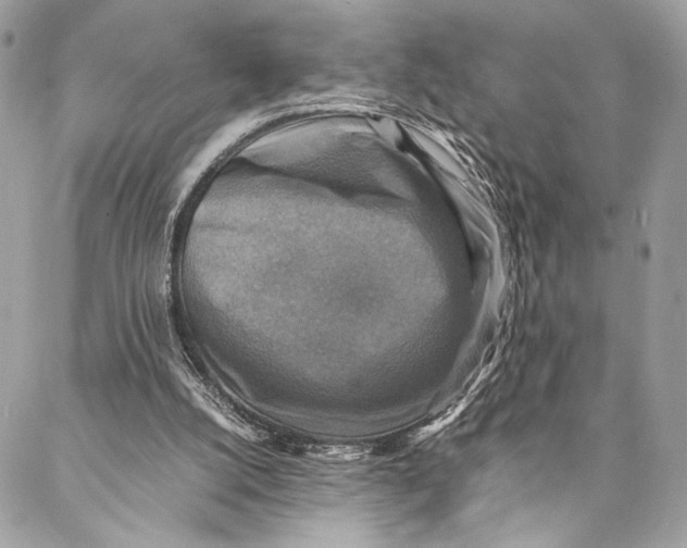 X0000086940056200705071428