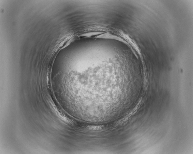 X0000086940057200705071428