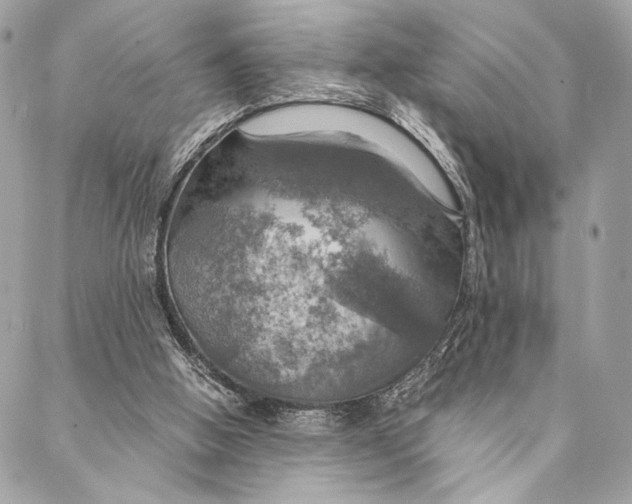 X0000086940058200705071428