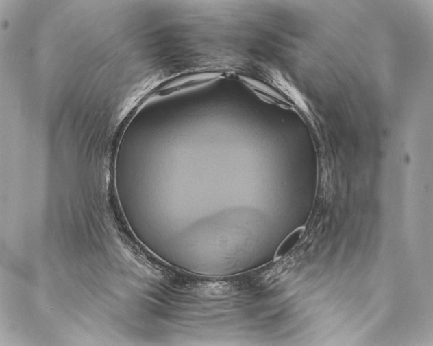 X0000086940059200705071428