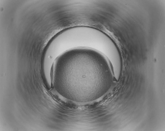 X0000086940060200705071428