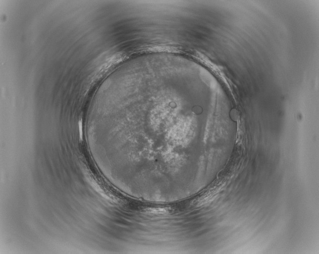 X0000086940061200705071428