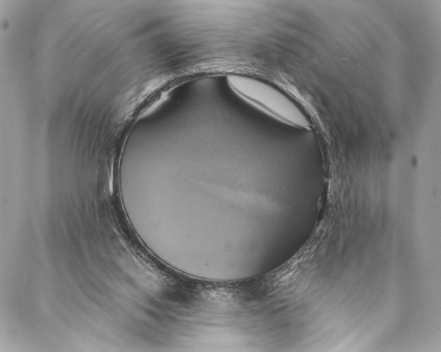 X0000086940062200705071428