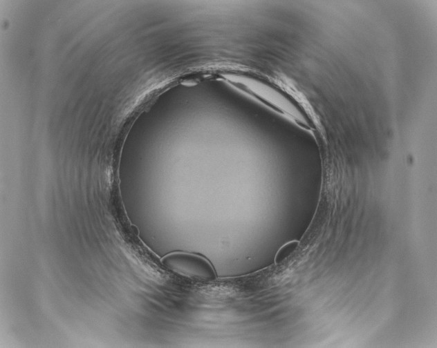 X0000086940063200705071428