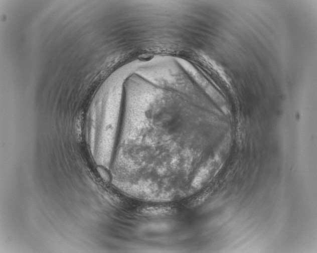 X0000086940065200705071428