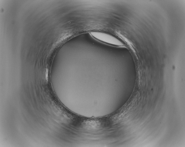 X0000086940067200705071428