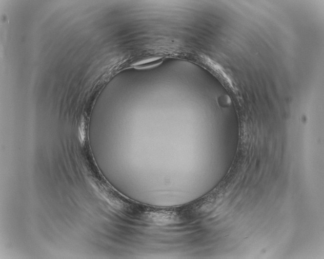 X0000086940069200705071428