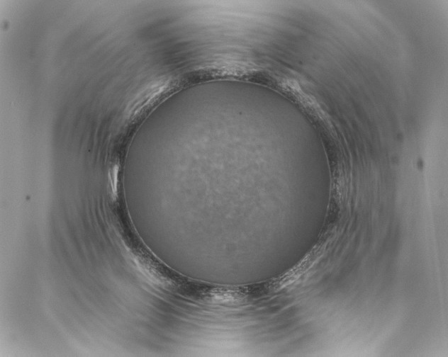 X0000086940070200705071428