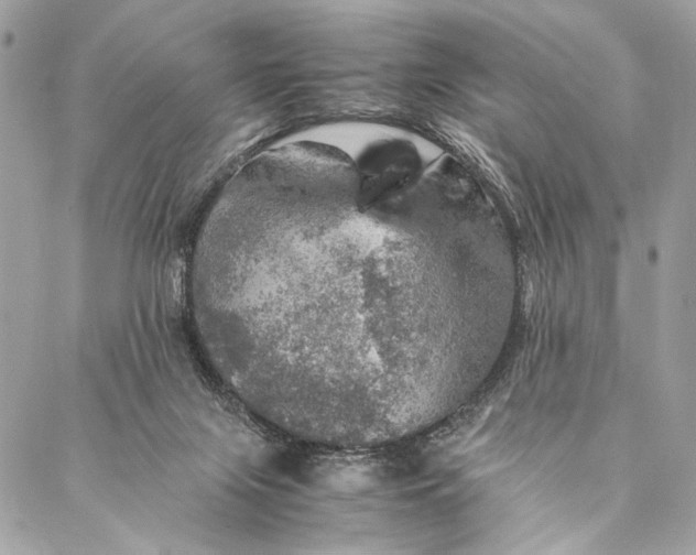 X0000086940071200705071428