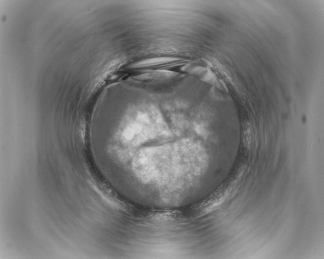 X0000086940072200705071428