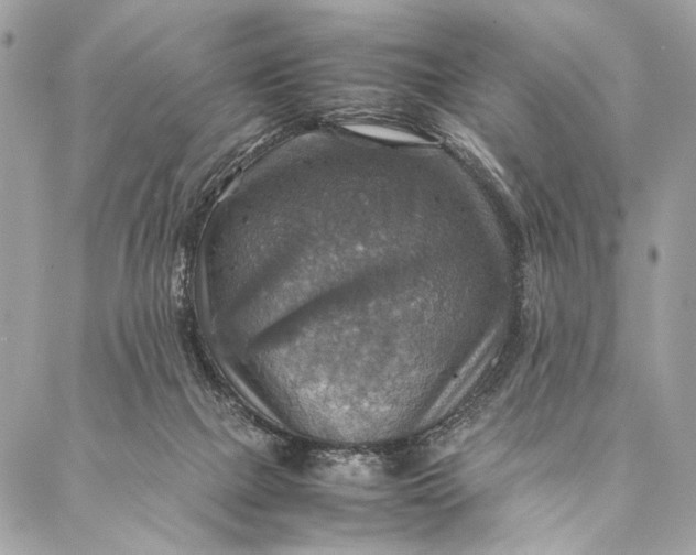 X0000086940073200705071428