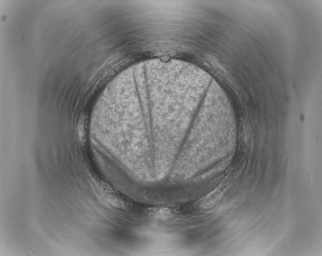 X0000086940074200705071428