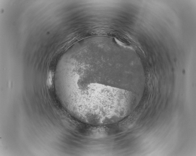 X0000086940075200705071428