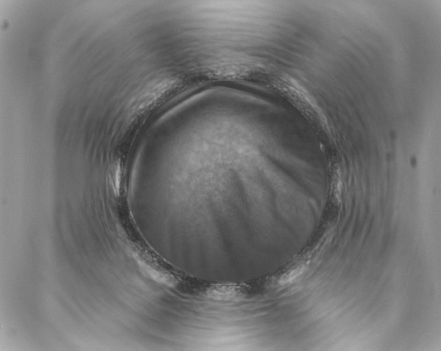 X0000086940076200705071428