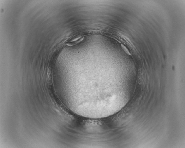 X0000086940077200705071428