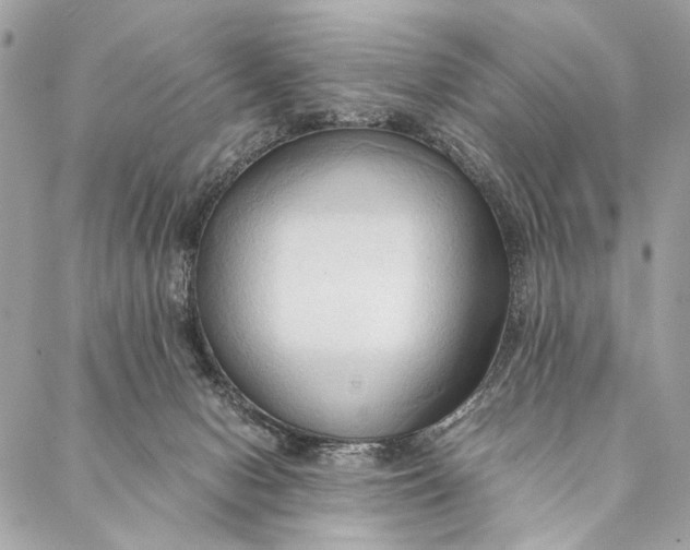 X0000086940078200705071429