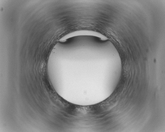 X0000086940079200705071429