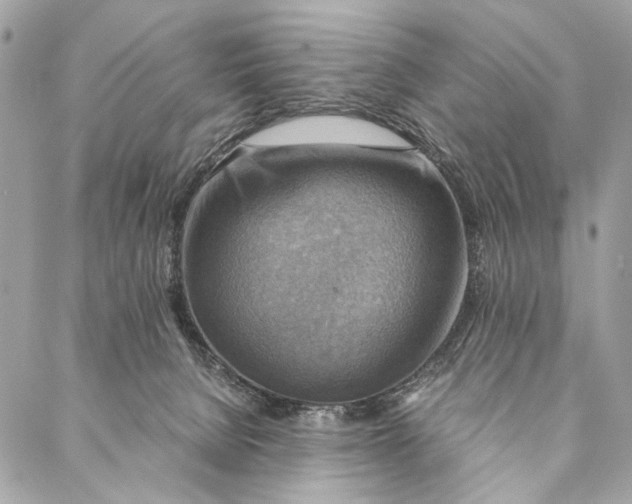 X0000086940080200705071429