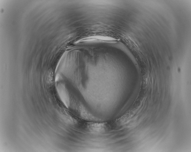 X0000086940081200705071429