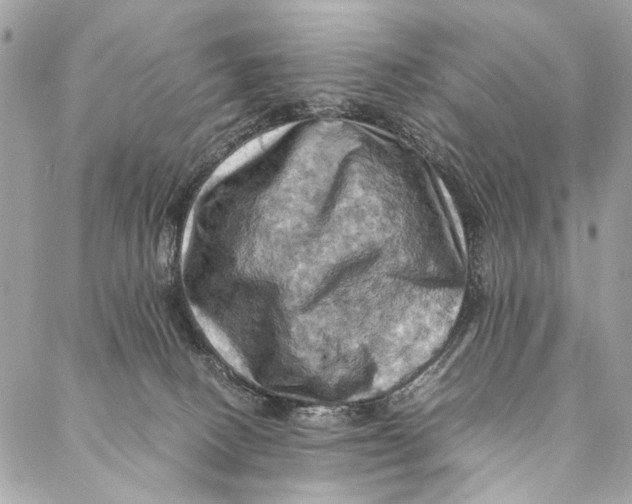 X0000086940082200705071429