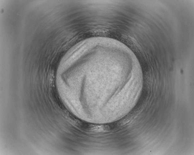 X0000086940083200705071429