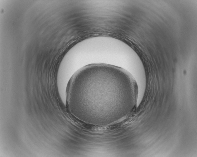 X0000086940084200705071429