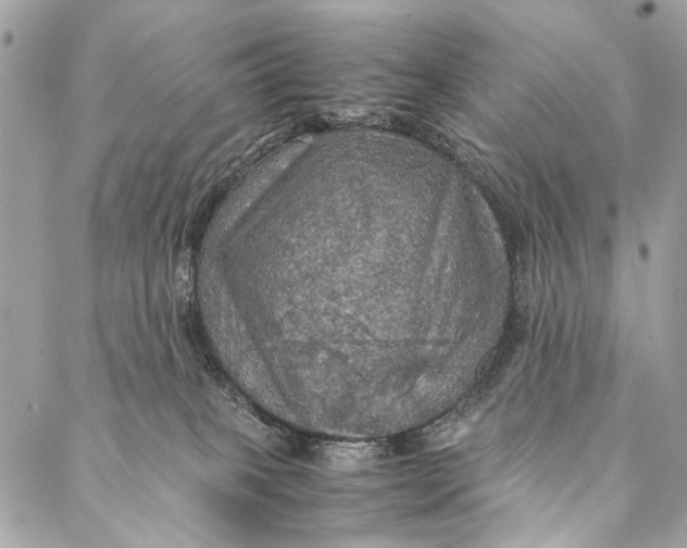 X0000086940085200705071429