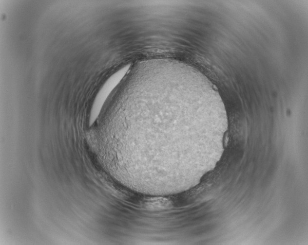 X0000086940087200705071429