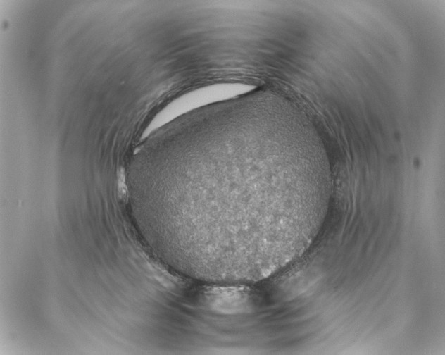 X0000086940089200705071429