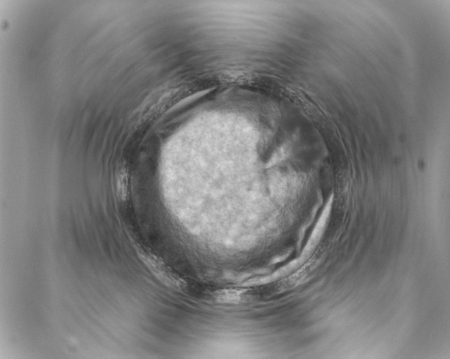 X0000086940090200705071429