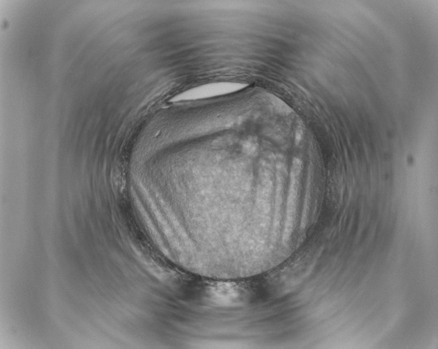 X0000086940091200705071429