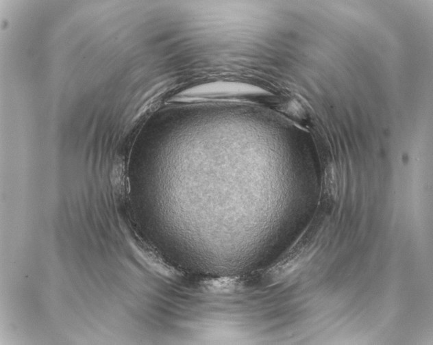 X0000086940092200705071429