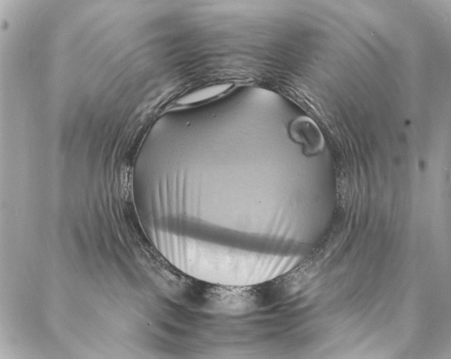 X0000086940093200705071429