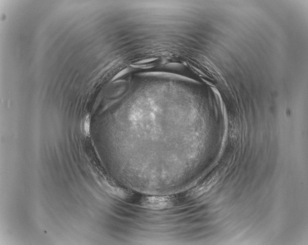 X0000086940095200705071429