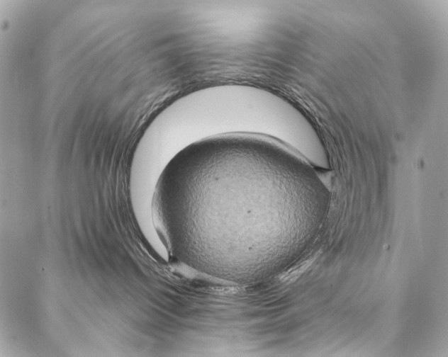 X0000086940096200705071429