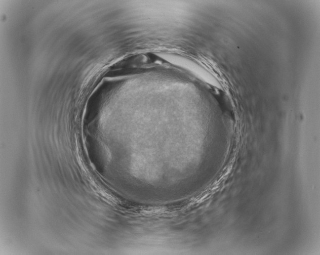 X0000086940097200705071428