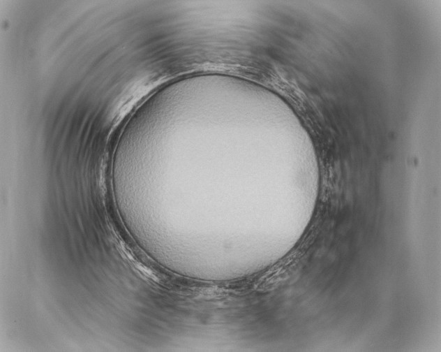 X0000086940098200705071428