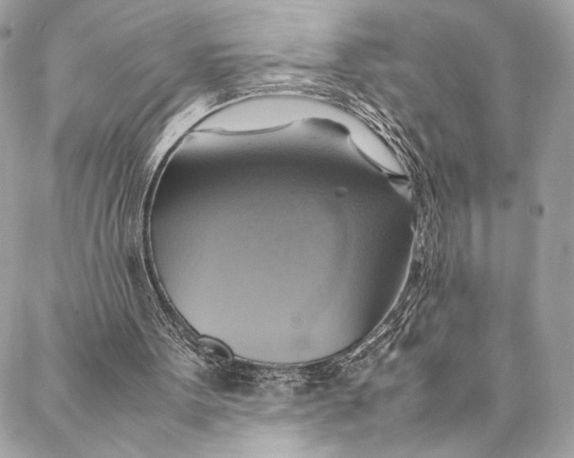 X0000086940099200705071428