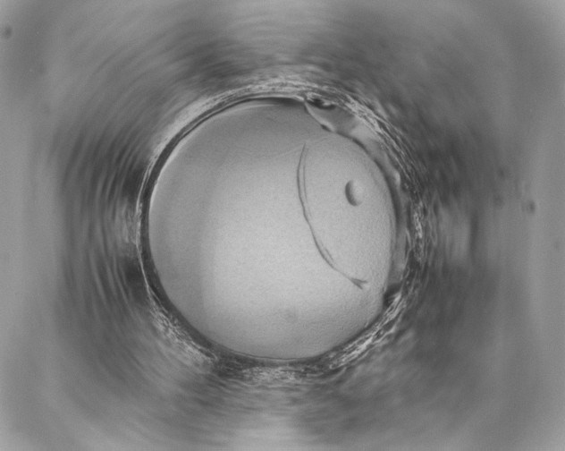 X0000086940100200705071428