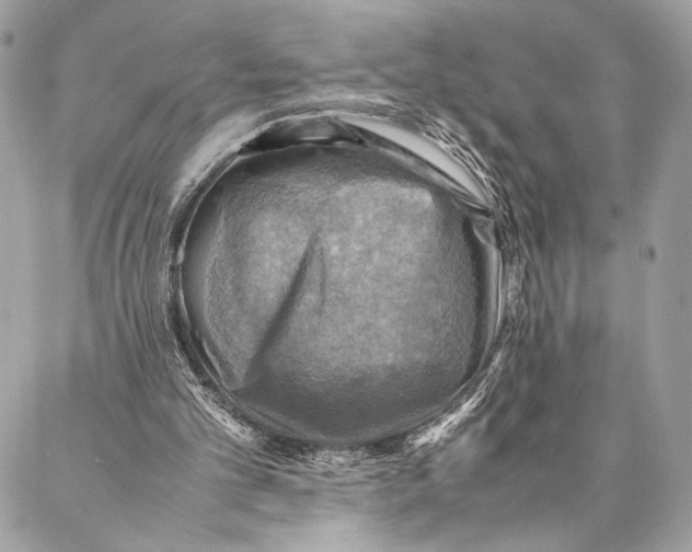 X0000086940101200705071428