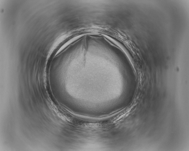 X0000086940102200705071428